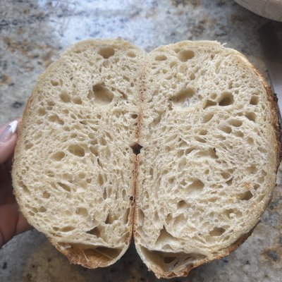Classic Sourdough