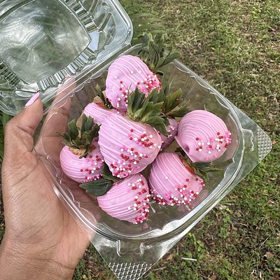 Chocolate Covered Strawberries 