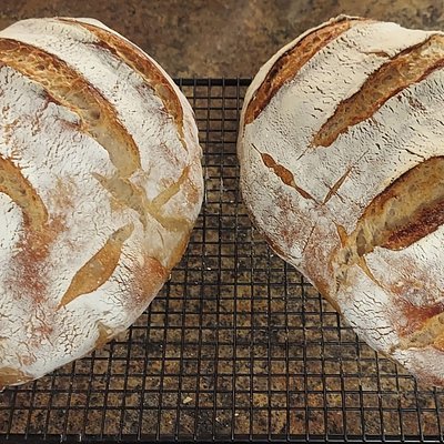 Basic Country Sourdough Bread - Full Loaf