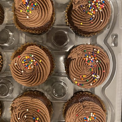 12 Chocolate Cupcakes 