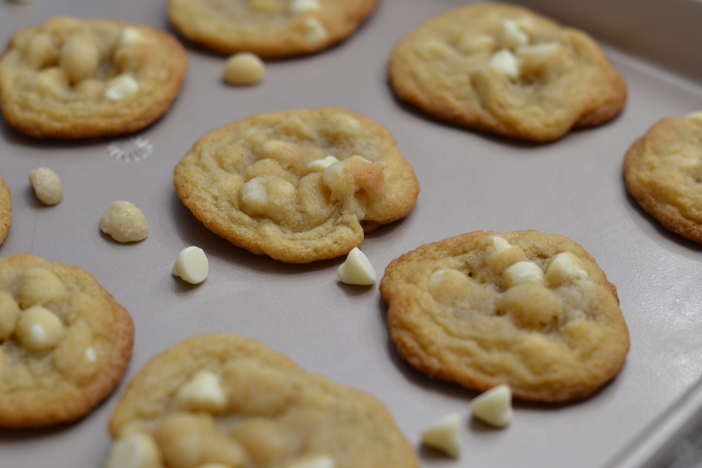 White Chocolate Macadamia Nut Cookie
