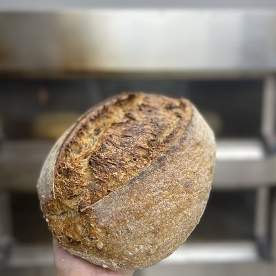 Malted Grain Sourdough