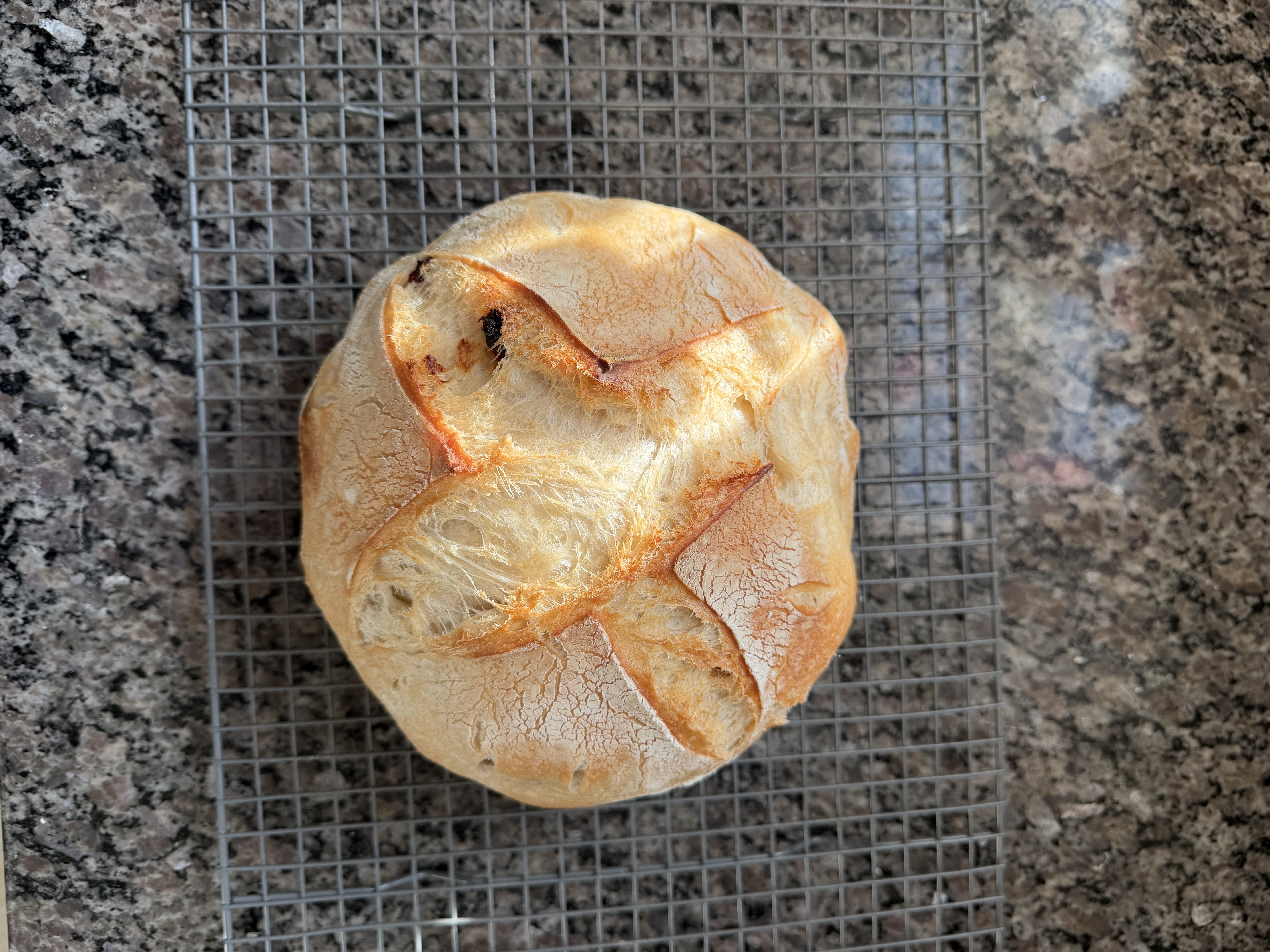 Sourdough Artisan Loaf