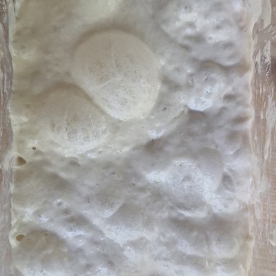 Heritage Hybrid Sourdough Starter (200-Year-Old Legacy)