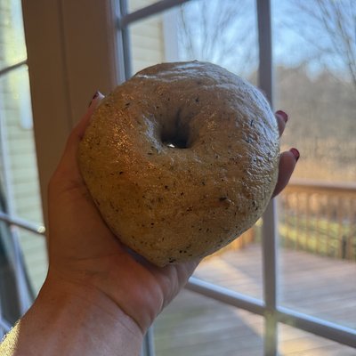 6 Sourdough Garlic And Italian Seasoning Bagel 
