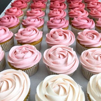 Custom Cupcakes For Girl Gender Reveal 