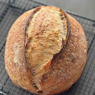 Italian Herb And Cheese 