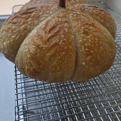Full Size Pumpkin Sourdough 