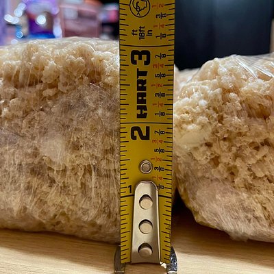 (12) Jumbo Marshmallow Treats 