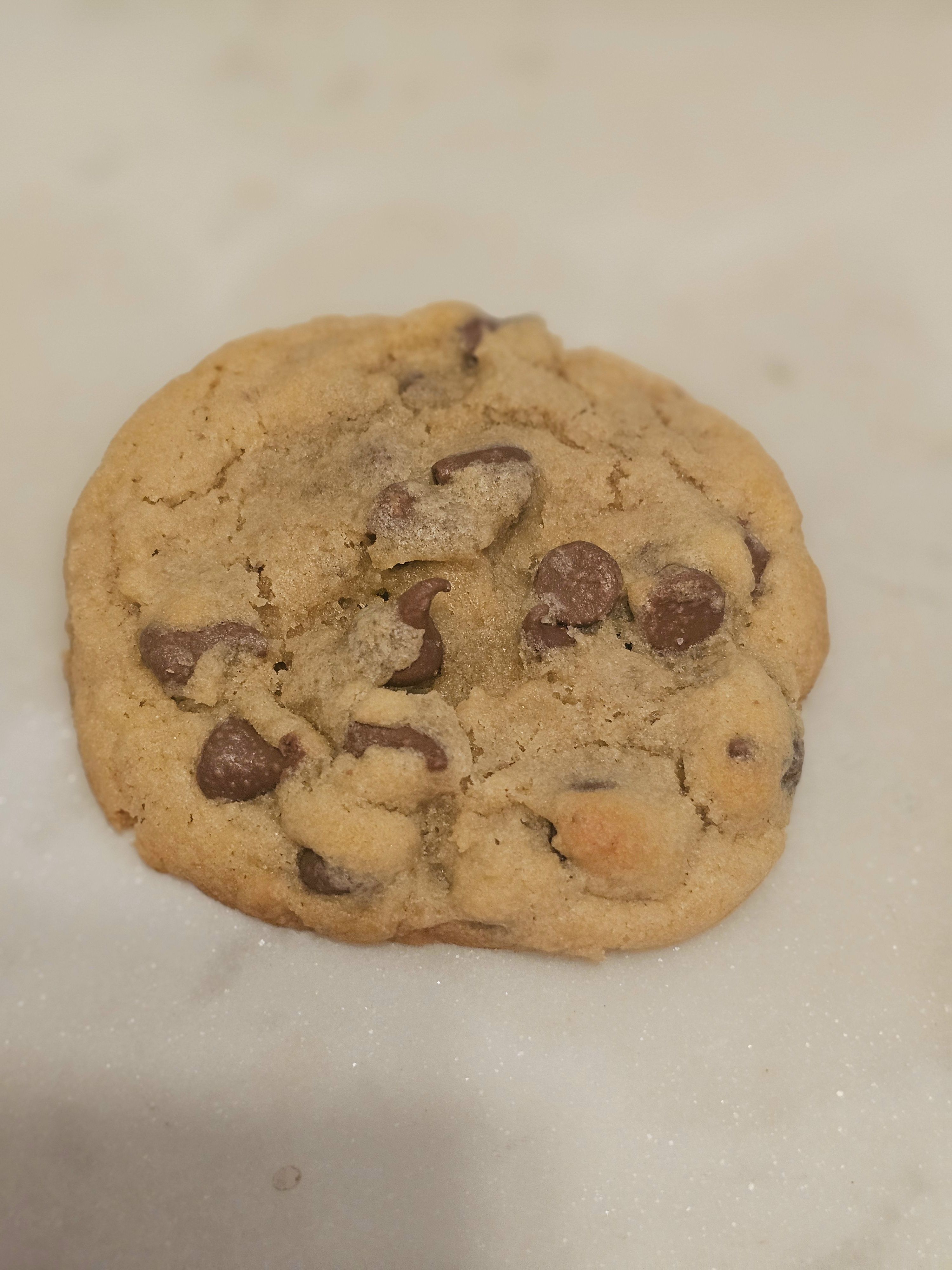 1 Dozen Chocolate Chip Cookies