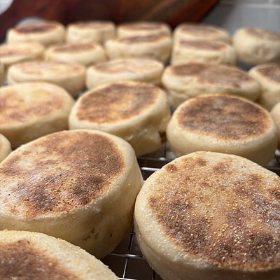 Sourdough English Muffins (6)