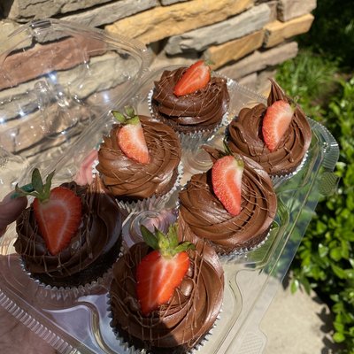 Chocolate Cupcakes 