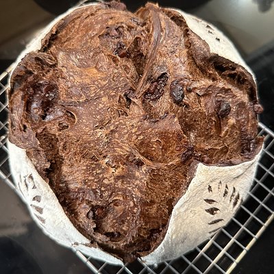 The Midnight Chocolate Cozy