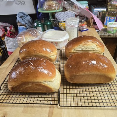 Premium Single White Bread