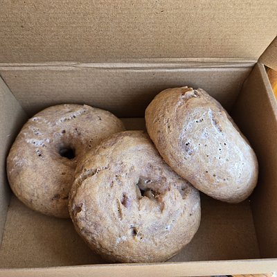 Gluten Free Sourdough Plain Bagel Box (3 Count)