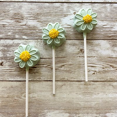 Mini Cake pops
