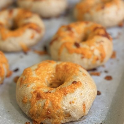 Sourdough Cheddar Bagel •6•