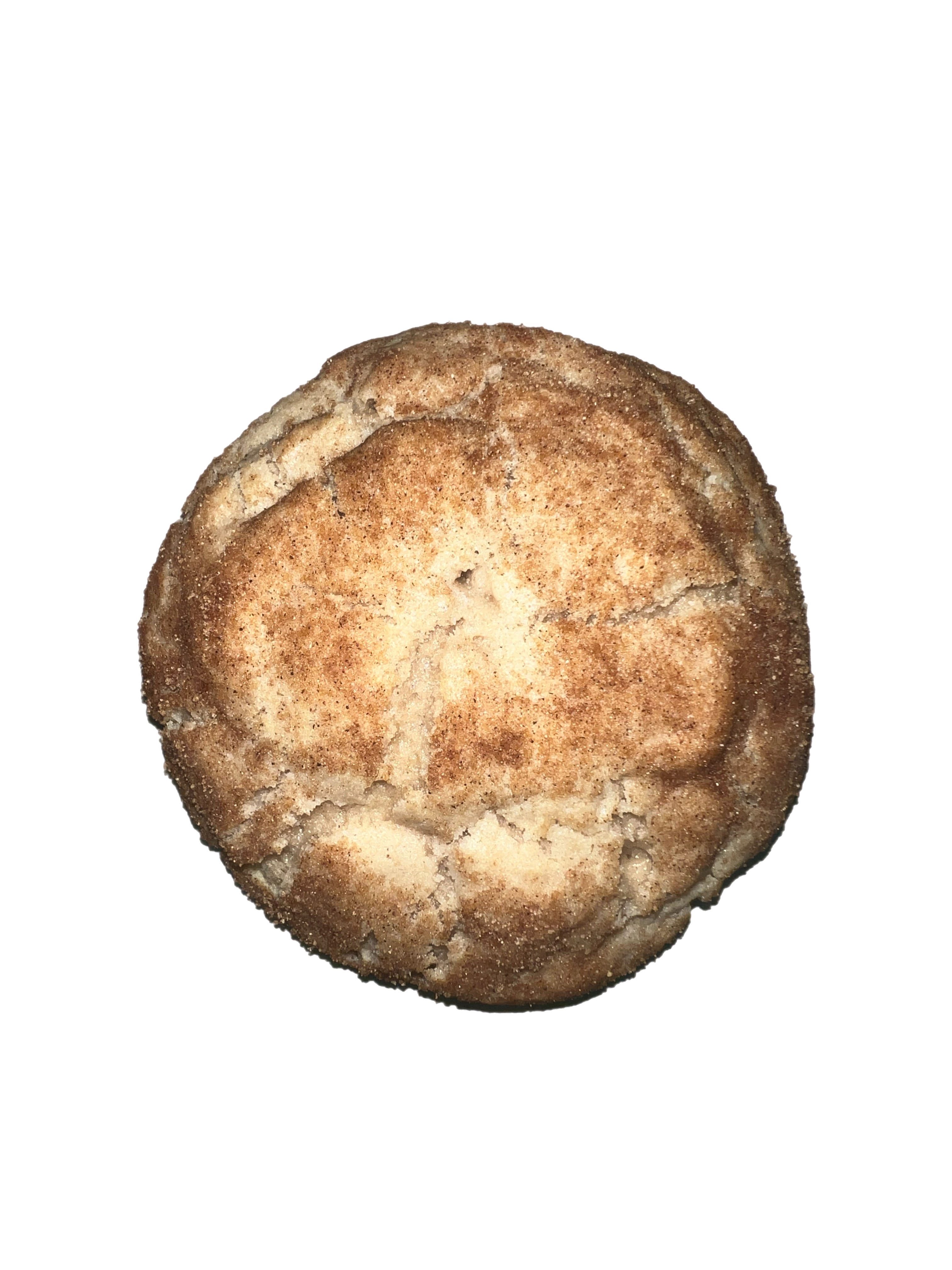 Snickerdoodle Cookie