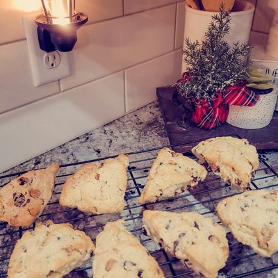 Chocolate Chip Sourdough Scones (8 Count)