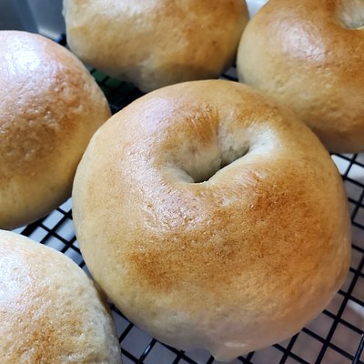Bag Of 6 Bagels - Plain