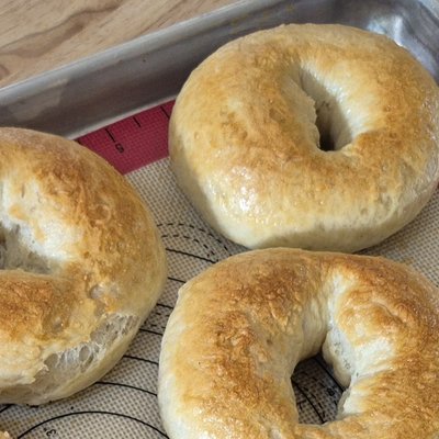 Plain Sourdough Bagels