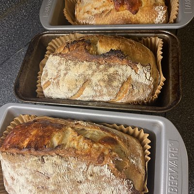Original   Sourdough Loaf