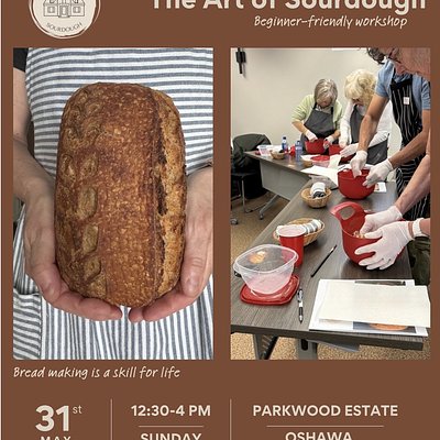 The Art Of Sourdough **See link in Item Description