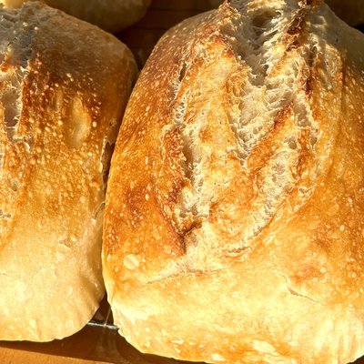 Sourdough Loaf