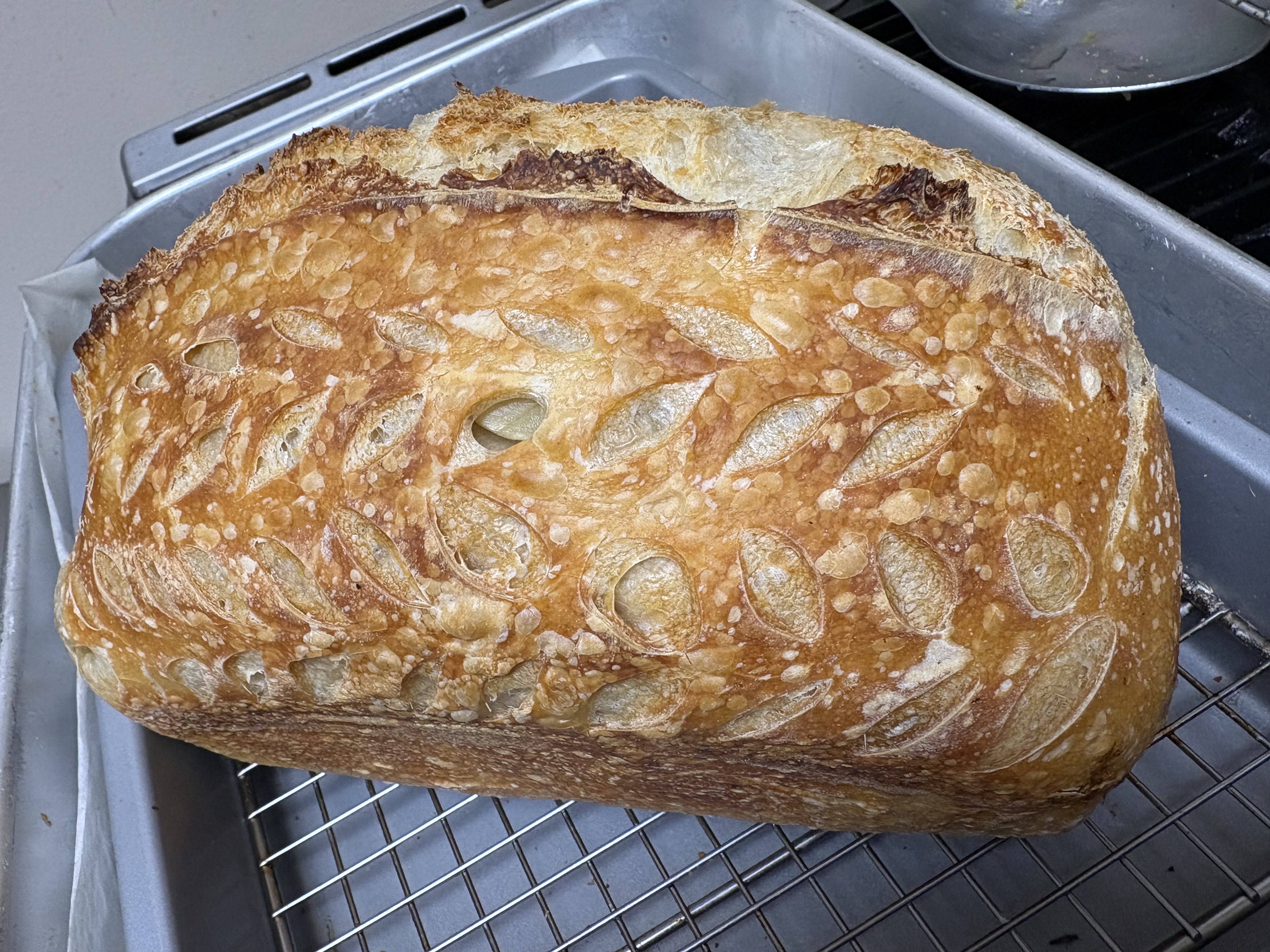 Garlic Rosemary Sourdough Loaf