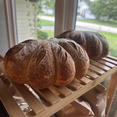 Pumpkin Cinnamon Swirl