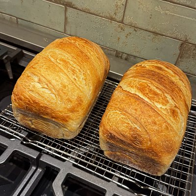 Soft Sourdough Sandwich Loaf