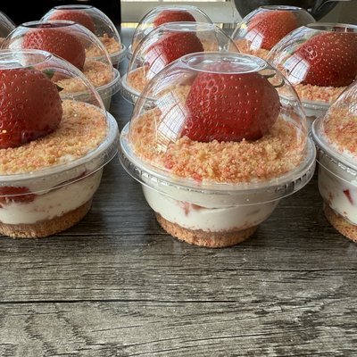 Mini Shooter Cups  By The Dozen