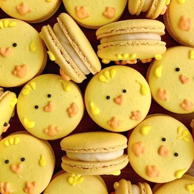 Chick Macarons (half dozen)