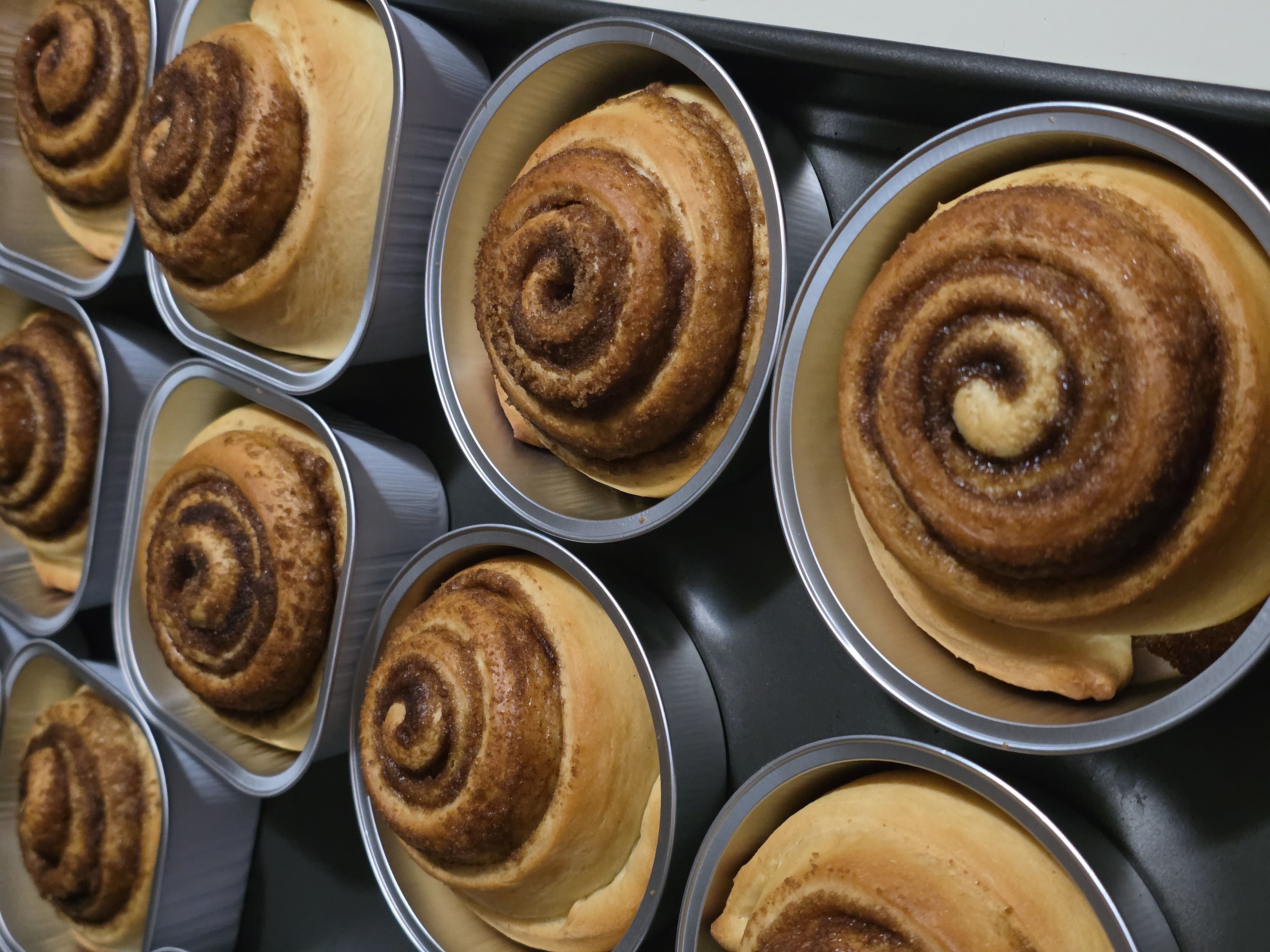 Cinnamon Rolls (6)