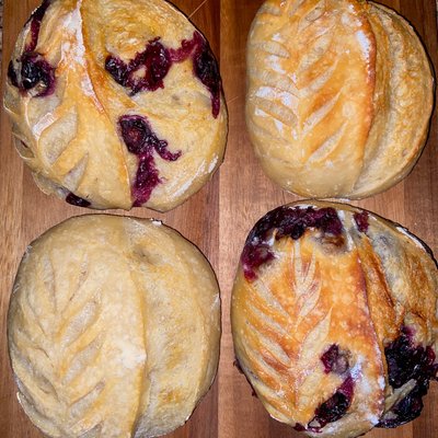 Mini Flight-Choose Any 4 Flavors 
