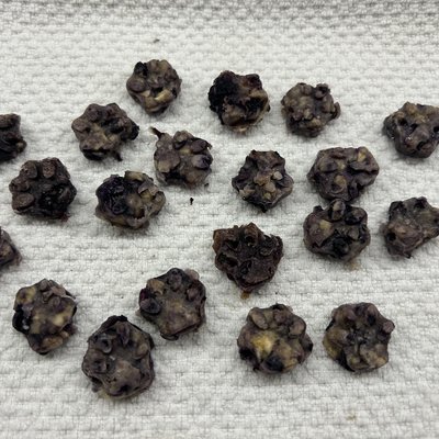 Blueberry Dog Treats