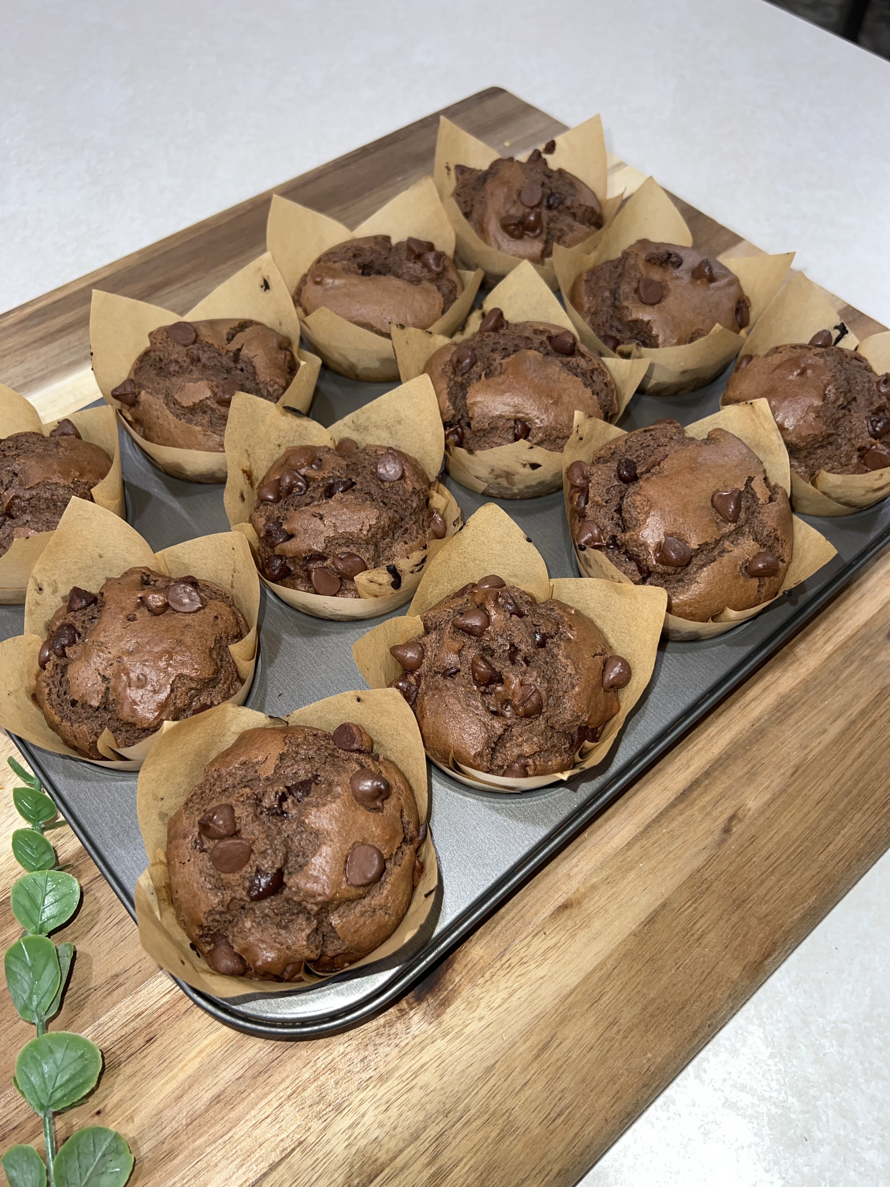 1/2 Dozen Double Chocolate Chip Sourdough Muffins