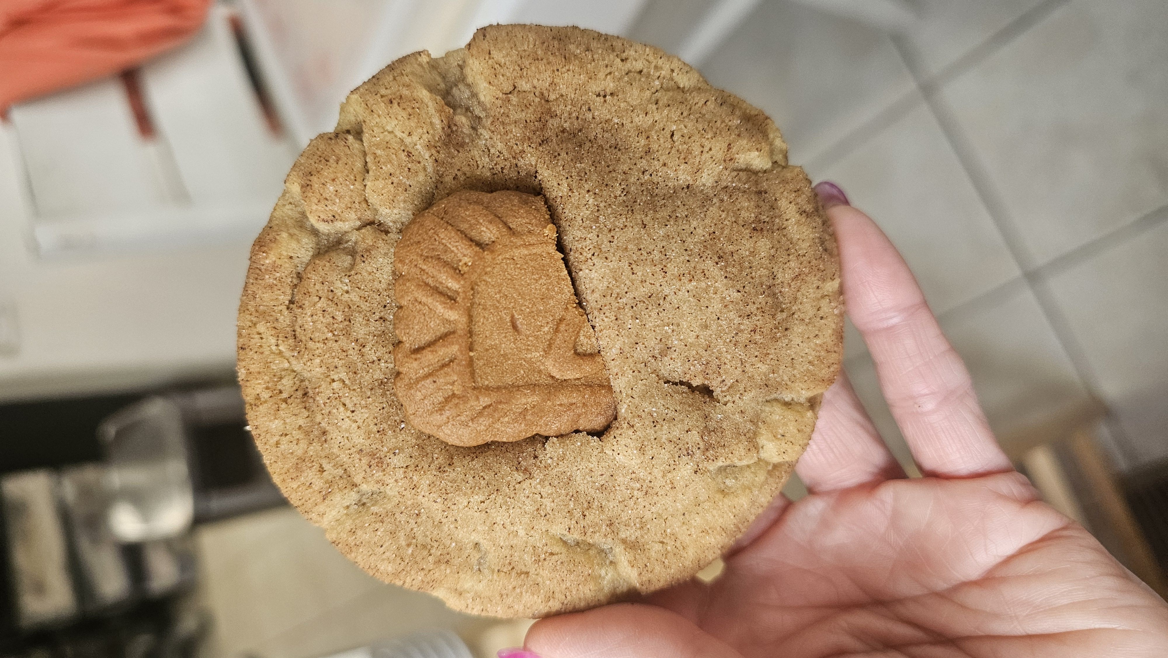 Cookie Butter Snickerdoodles