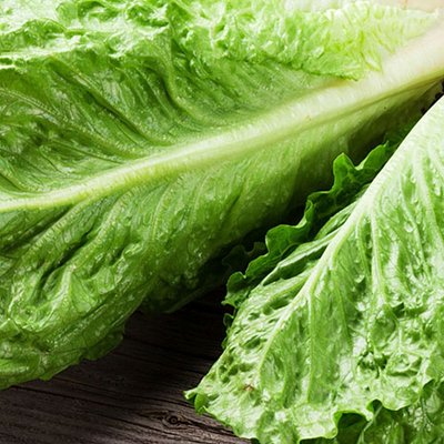 Organic Romaine Lettuce Bag 
