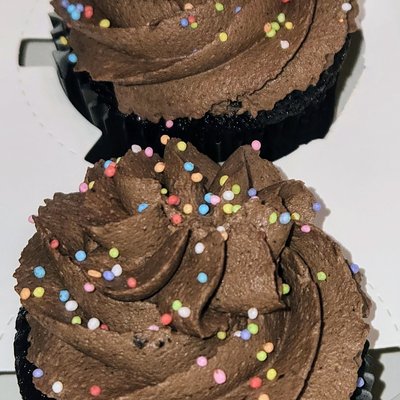 Chocolate Chocolate Cupcake - 6 Count