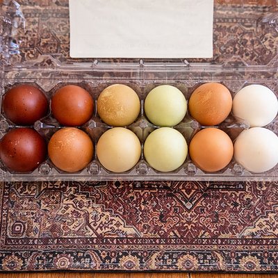 Pasture Raised Farm Eggs