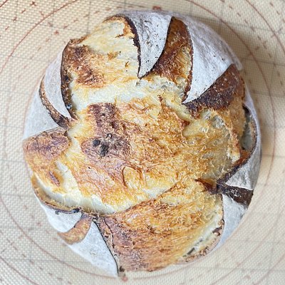Hot Honey Sourdough - LARGE