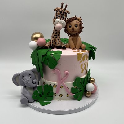 6in Cakes