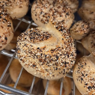 Everything Sourdough Bagels 