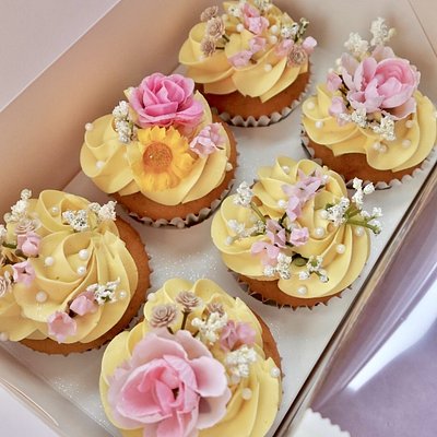 6 Pack Vanilla Cupcake Case