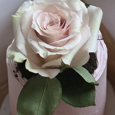 MOTHER'S DAY CAKE