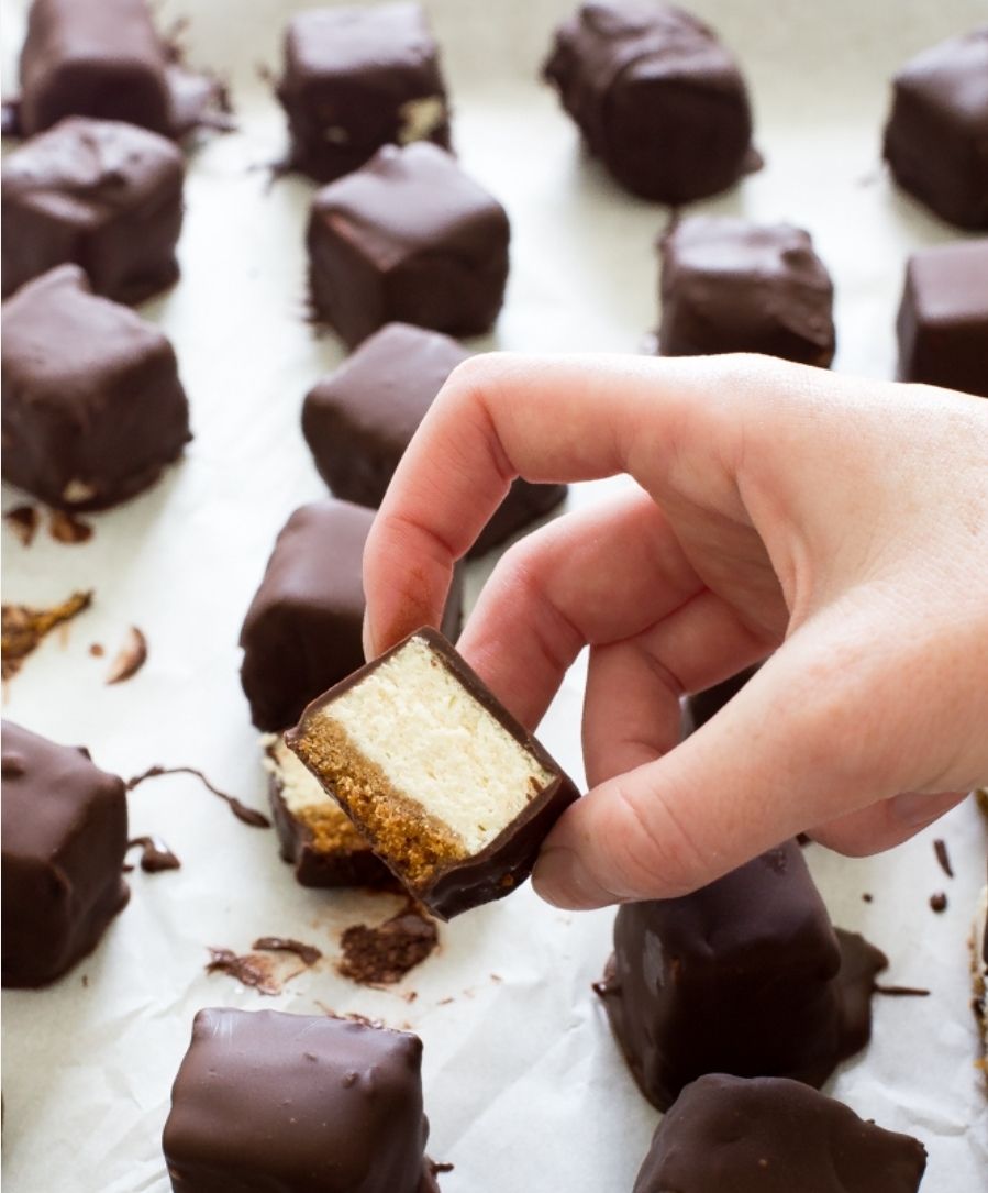 Chocolate Covered Cheesecake Bites
