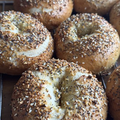 Everything Bagels (6pk)