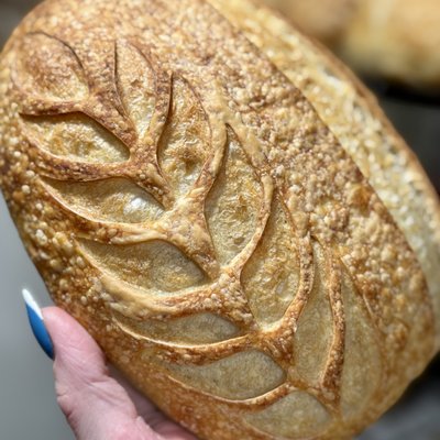 Sourdough Plain Loaf 