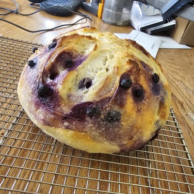 Lemon Blueberry Sourdough Boule Loaf